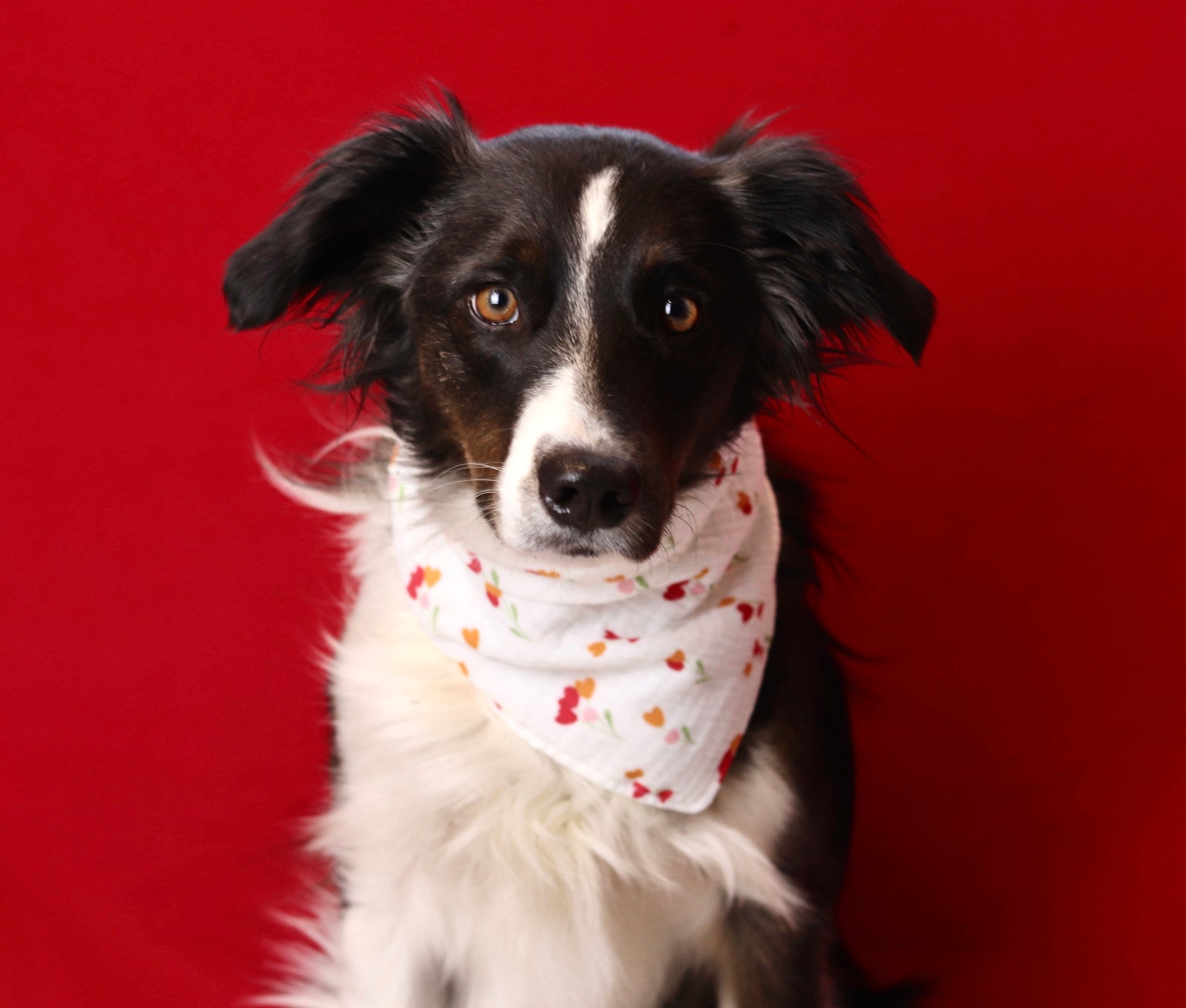 Bandana p’tite tulipe