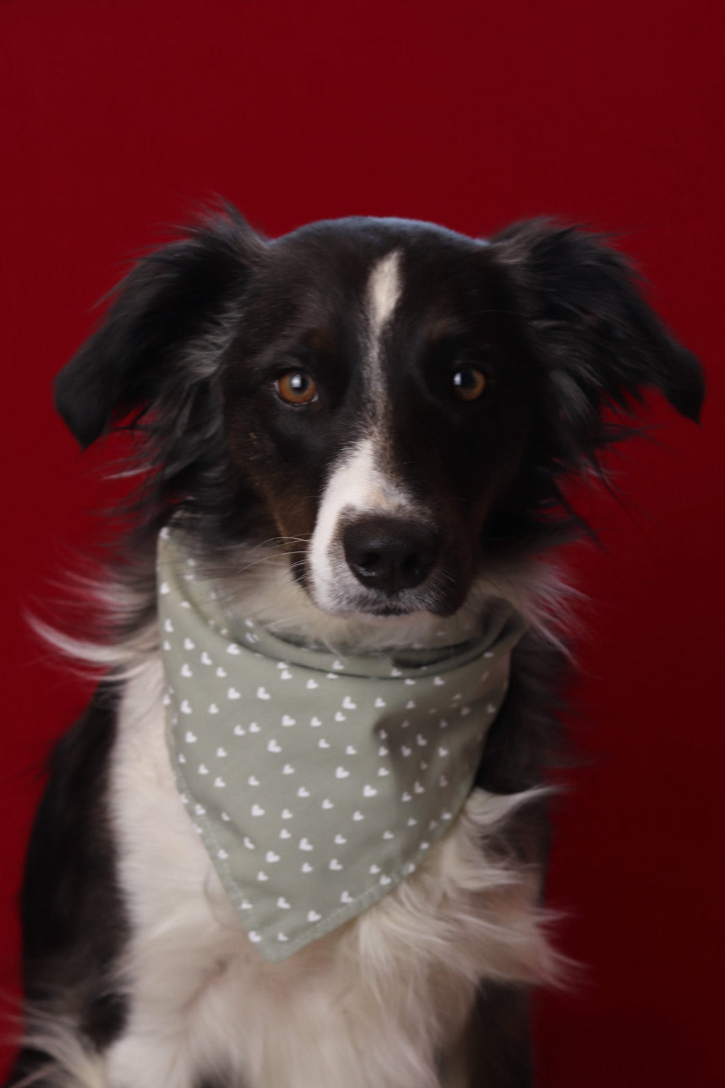 Bandana p’tit coeur vert