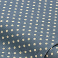 Ensemble pois bleu Romy