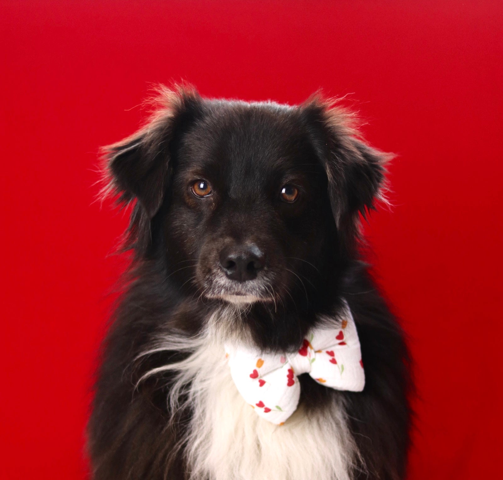 Noeud p’tite tulipe