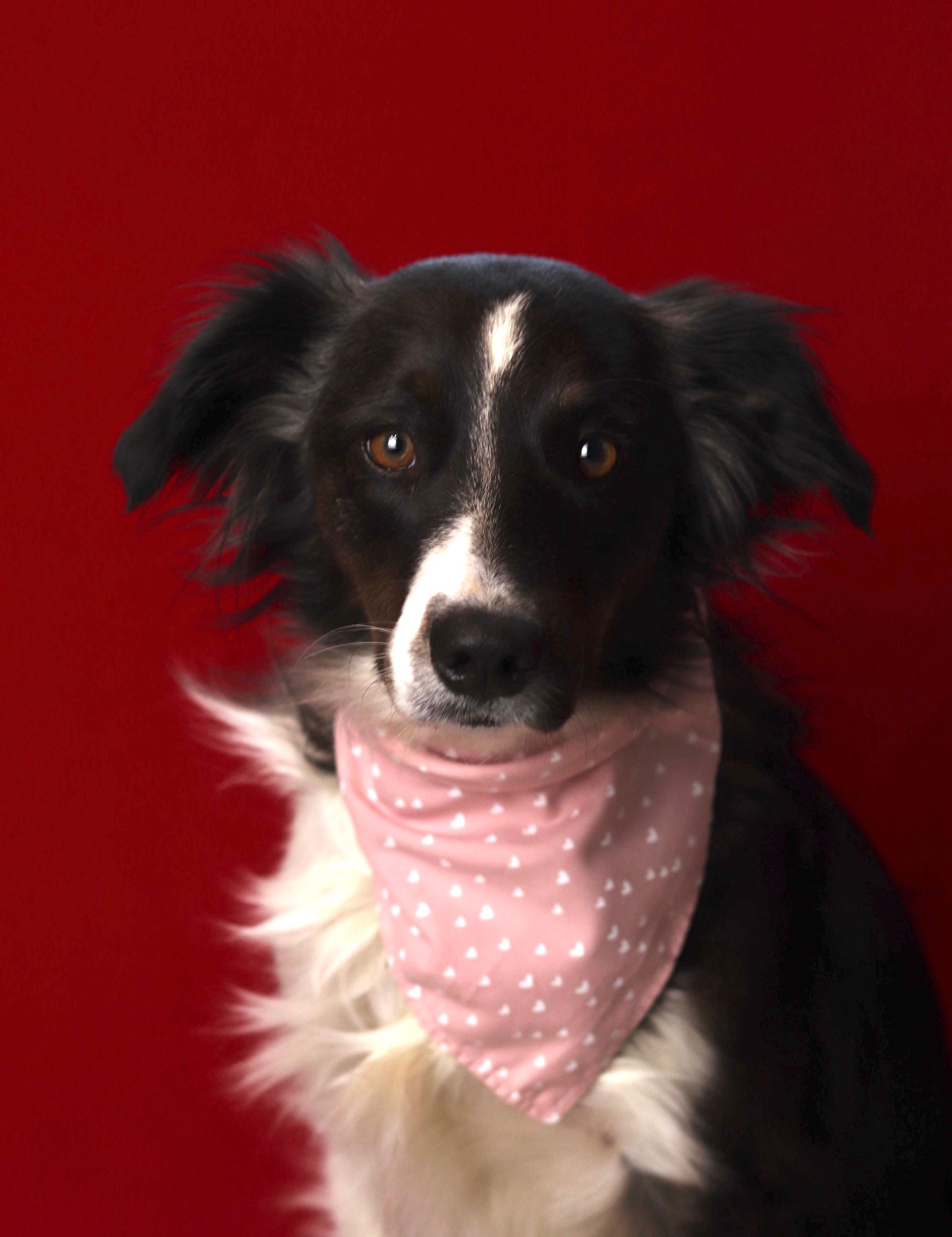 Bandana p’tit coeur